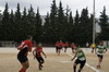thumb_img_043.JPG